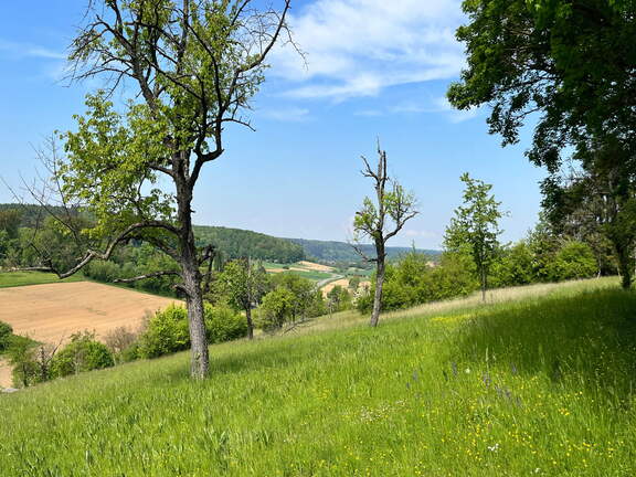 22-05-08 11-43-50 0771